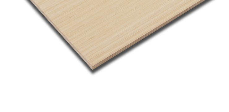 BambusPlate Natur vertikal 30x2500x700mm
